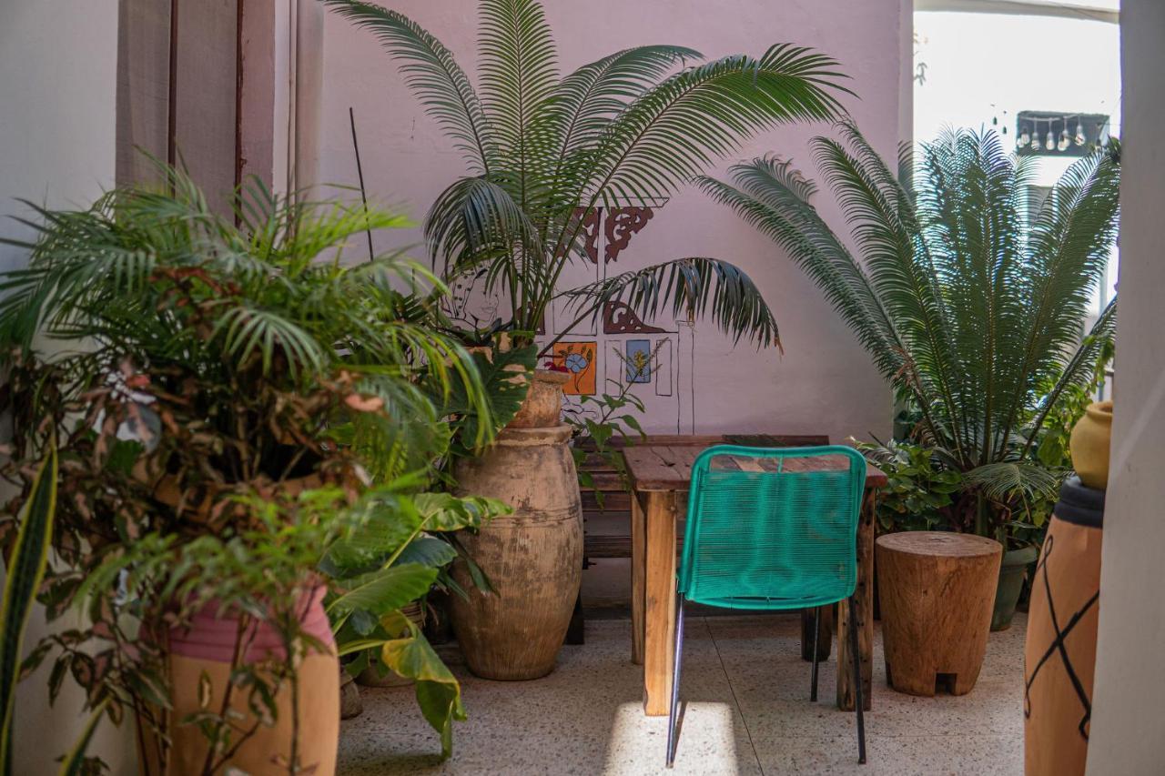 Bed and Breakfast Tarawanda House -Thrivestawi Zanzibar Esterno foto